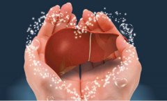 爱肝日 专家提醒远离